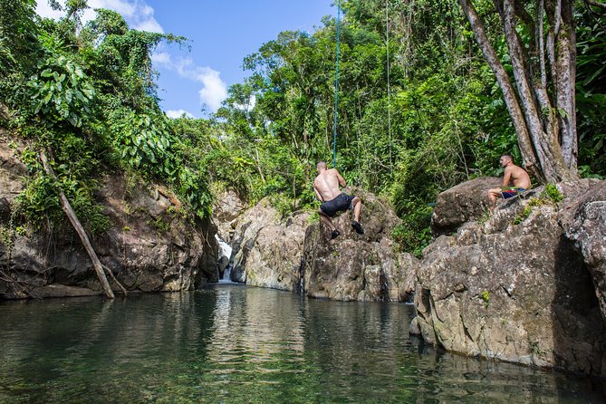 The El Yunque Rainforest and Bio Bay Kayaking Combo Tour - Hiking in El Yunque