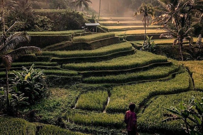 The Gates of Heavan - Ubud Jungle Swing & Waterfall Tour - Tukad Cepung Waterfall Exploration