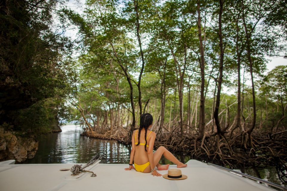 The Haitises: Boat Excursion and Walking Tour With Lunch - Indigenous Pictographs and Petroglyphs