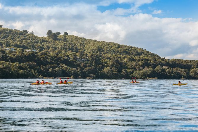 The Maori Carvings Half Day Kayak - Requirements for Participants