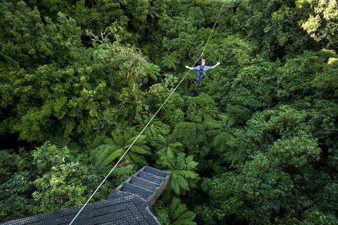The Original Canopy Zipline Experience Private Tour From Auckland - Transportation Details
