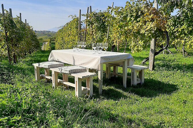 The Original Private Prosecco Tour All Inclusive From Conegliano - Meeting and Pickup Details