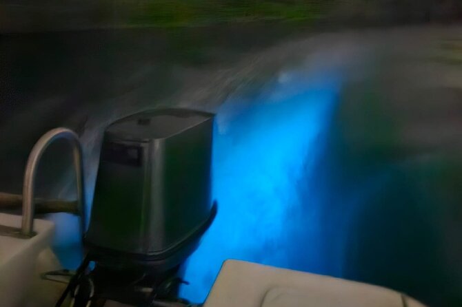 The ULTIMATE Bioluminescence Night Time Adventure With Brandon - Pricing Information