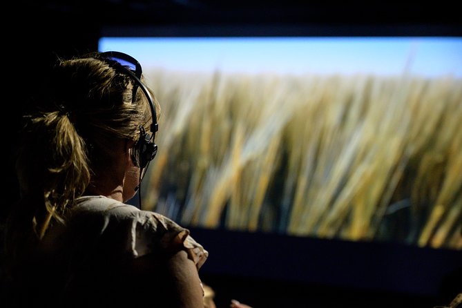 The Viking Planet Admission Ticket - Immersive Experiences Offered