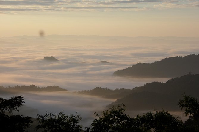 The Wild Explorer - 3 Days Forest Trek With Homestay and Camping - Survival Skills Training