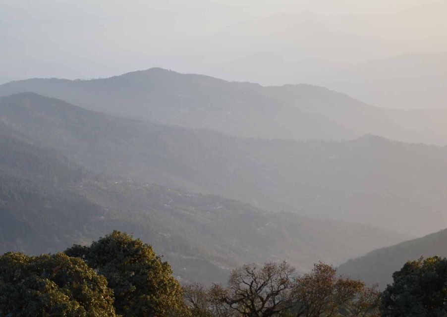 Tiger Hill Darjeeling Nature Walk (3 Hours Guided Tour) - Itinerary Details