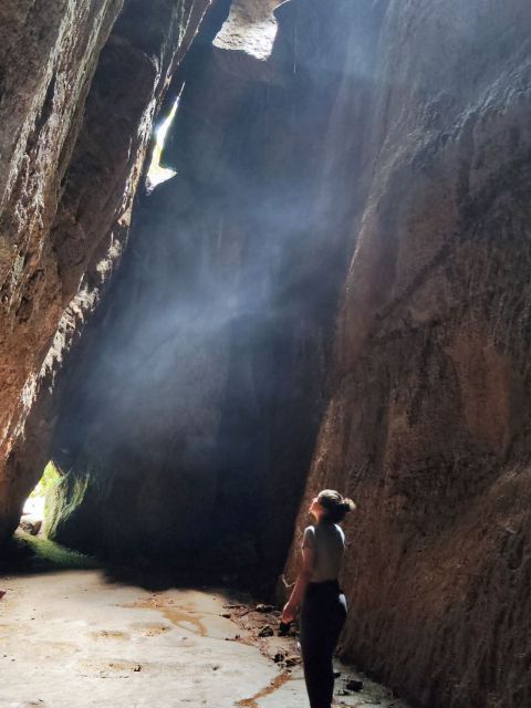 Tijuca Forests Hike: Caves, Waterfalls and Great Views - Highlights of the Trail