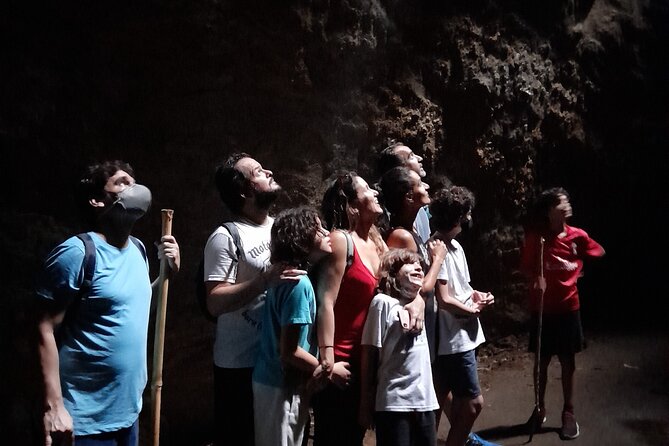 Tijuca National Park and All Its Wonders - Safety Measures and Guidelines