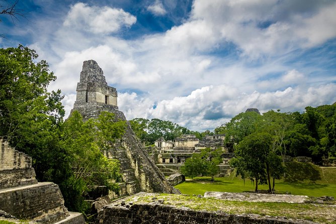 Tikal Day Trip by Air From Guatemala City With Lunch - Wildlife Encounters at Tikal