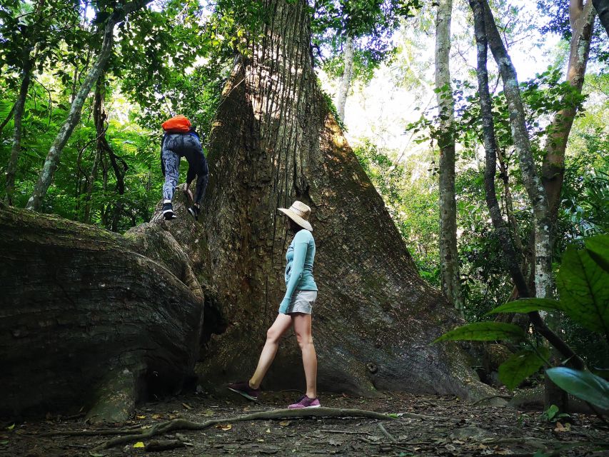 Tikal Sunrise, Archeological Focus and Wildlife Spotting - Key Attractions