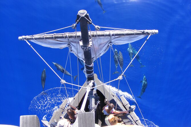 Time Travel on Columbus Replica Flag Ship in Madeira - Scenic Coastal Views