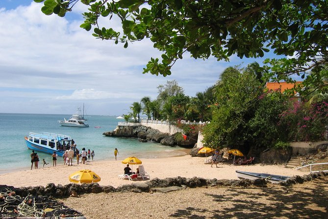 Tobago Buccoo Reef Glass Bottom Boat Tour - Activities Included in the Tour