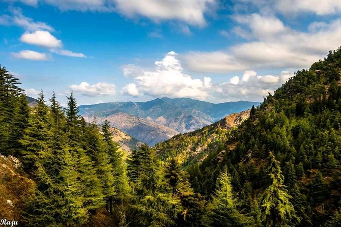 Top Tibba Trek - Mussoorie - Cancellation Policy