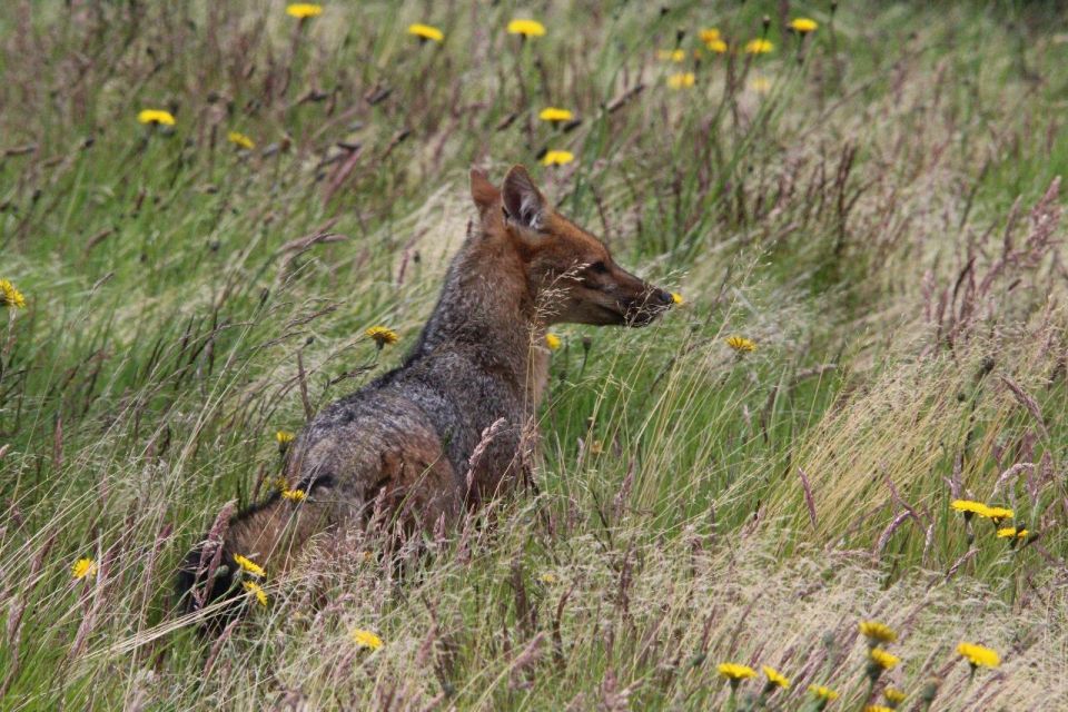 Torres Del Paine Photo Safari - Detailed Itinerary
