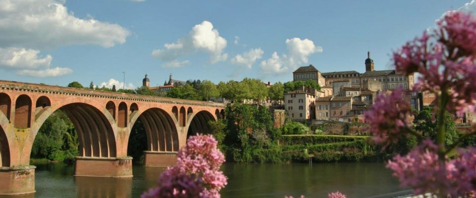 Toulouse: Guided Tour of the Historic Center - Architectural Highlights