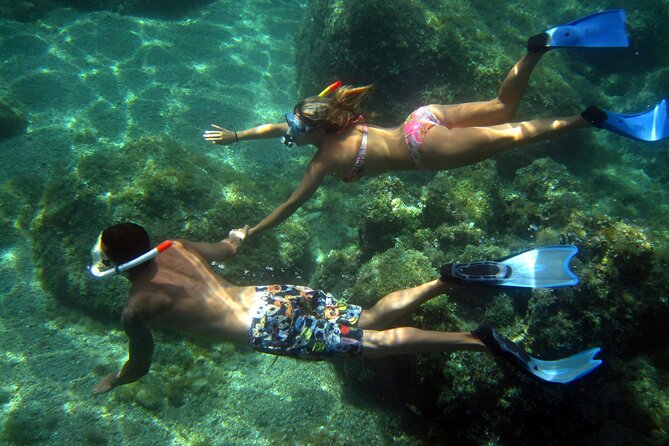 Tour in Rubber Dinghy and Snorkeling in the Protected Marine Area of Tavolara - Accessibility Information