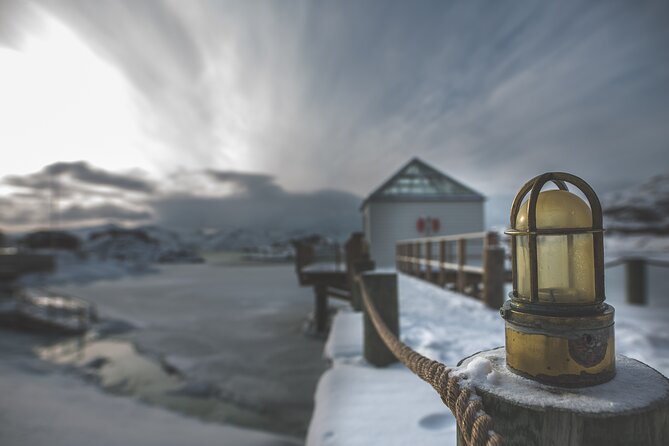 Tour of the Authentic Fjords of Kvaløya to Sommarøy - Traveler Reviews and Feedback