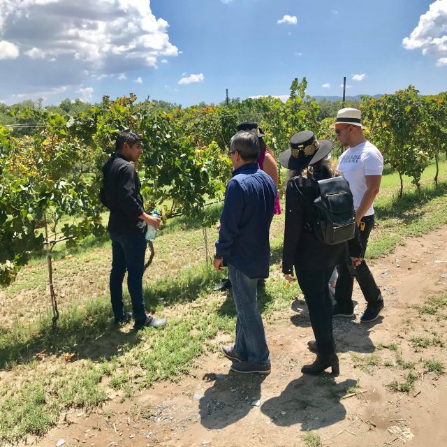 Tour Parras De La Fuente, With Guide, Transfer and Tickets - Visiting Casa Madero Winery