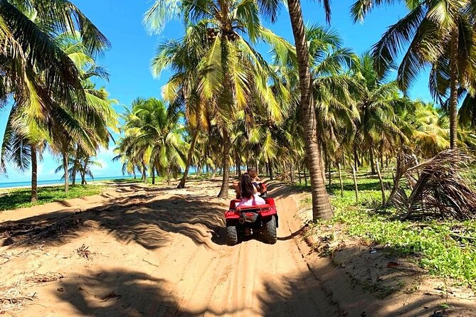 Tour to GUNGA BEACH + BARRA DE SÃO MIGUEL - Meeting and Pickup