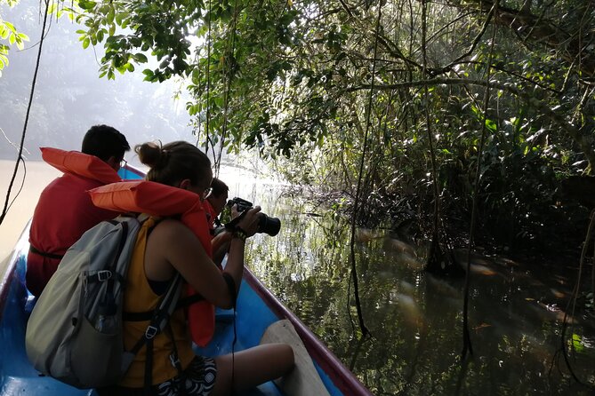 Tour to the Canals in Tortuguero National Park - A Unique Wildlife Experience