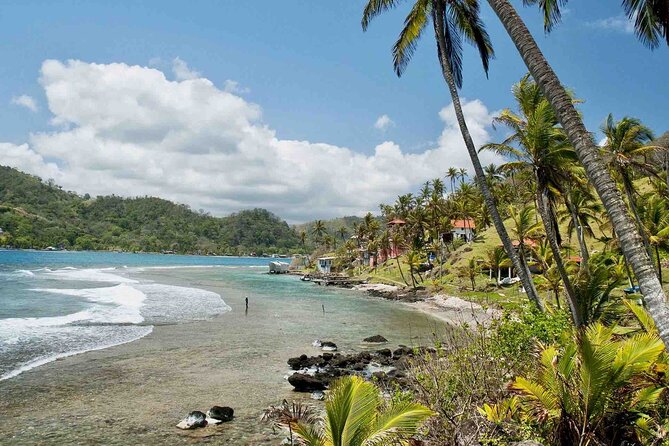 Tour to the Caribbean Coast: 3 Islands: Grande, Mamey and Monkey Plus Love Tunnel, Including Historic Portobelo Fort - What to Bring