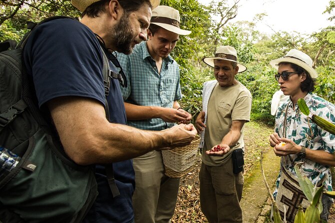 Traditional Coffee Farm Experience at Hacienda Coloma From Bogotá - Accessibility Features