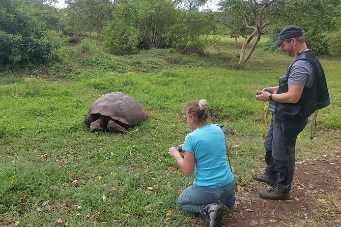 Transfer Airport-Hotel in Galapagos Santa Cruz With Visit to Giant Tortoises - Highlights of the Tour