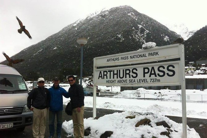 Tranz Alpine Train Tour - Scenic Experience