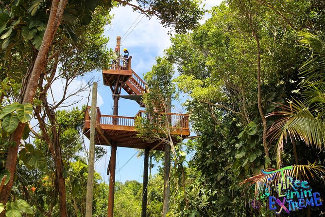 Tree Limin Extreme Zipline - Fly Through the Trees