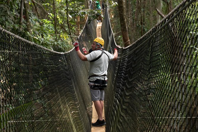 Treetop Adventure Park Canopy Tour - Rainforest Canopy Views