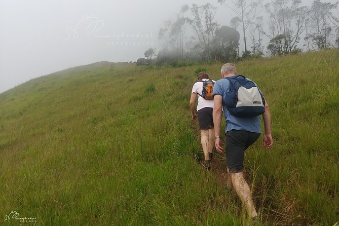 Trekking in Munnar - Booking Process and Options