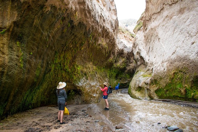 Trekking, Waterfalls and Thermal Baths - Activity Details and Accessibility