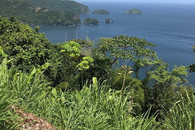Trinidad Highlights and Scenic Drive Tour - Customer Experiences
