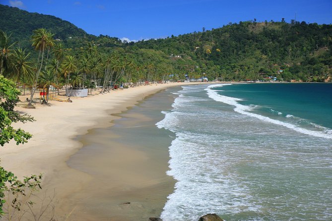 Trinidad Highlights Tour From Port of Spain - What to Expect on the Tour