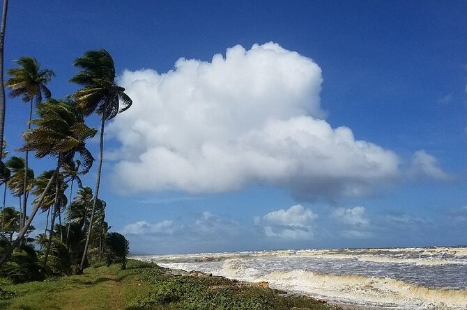 Trinidad Island Circle Tour With Pickup - Transportation and Logistics