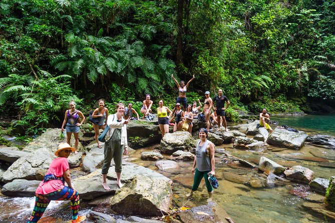 Trinidad Rainforest Hike to Waterfall - Pricing and Booking