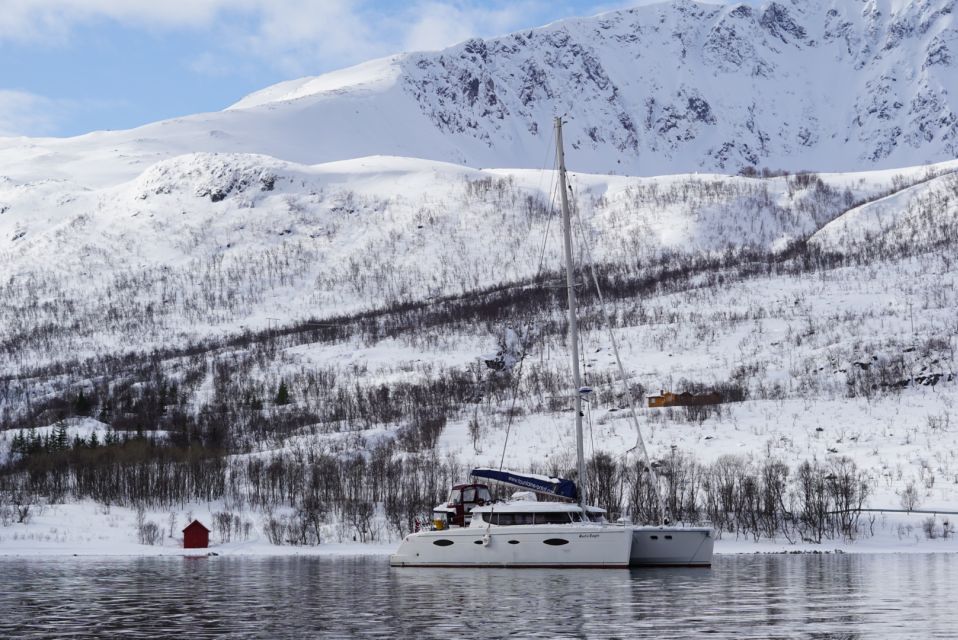 Tromsø: Arctic Fjord Sightseeing Cruise in Luxury Catamaran - Features of the Luxury Catamaran