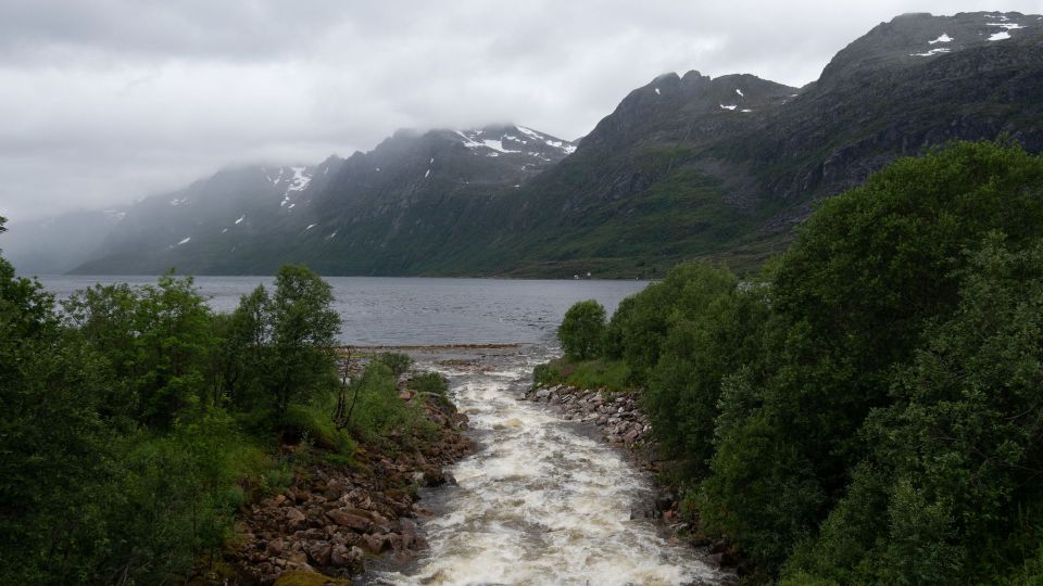 Tromsø: Arctic Landscapes Sightseeing With Citizen Science - Itinerary Details