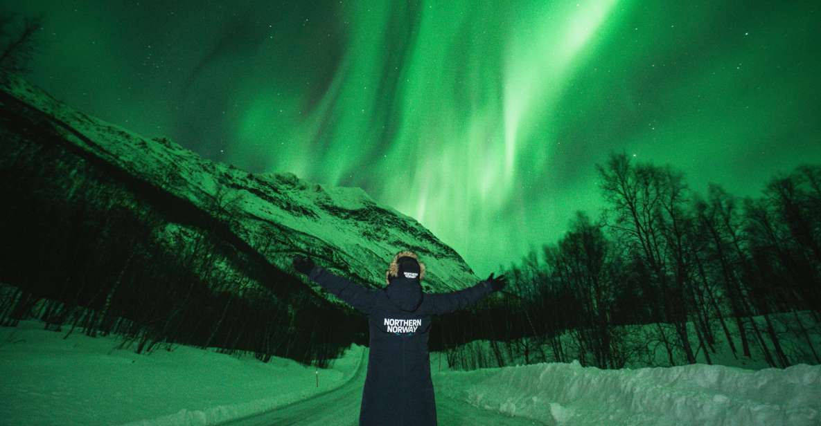 Tromsø: Aurora Borealis Chase With Guide, Meals & Campfire - Inclusions and Amenities