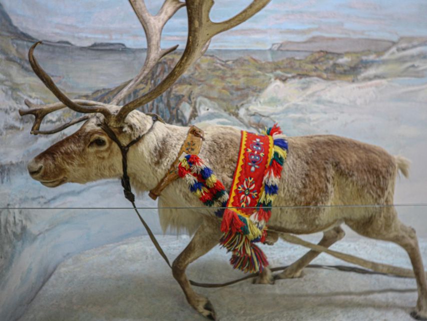 Tromsø: Discover Sami Culture Museum Expedition - Sami Culture Insights