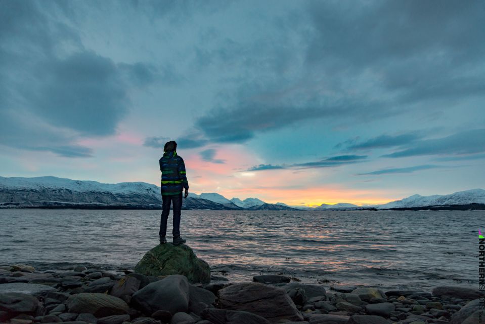 Tromsø: Fjord Photo Tour by Minibus - Itinerary Details