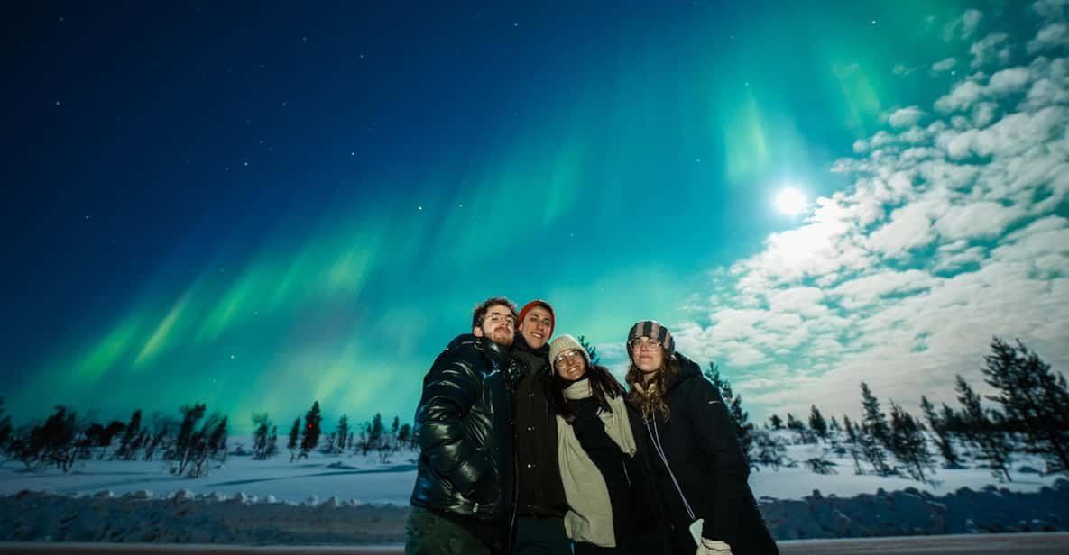 Tromsø: Guided Northern Lights Tour W/ Guaranteed Sightings - Guided Expertise