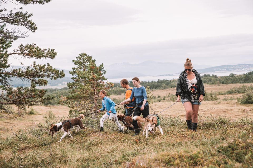 Tromsø: Husky Hike and Puppy Visit With Traditional Lunch - Whats Included in the Tour