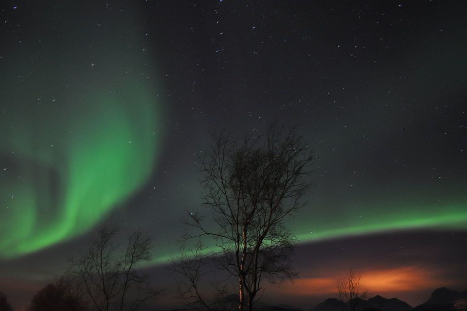 Tromsø: Northern Lights Husky Visit With Traditional Dinner - Highlights of the Visit