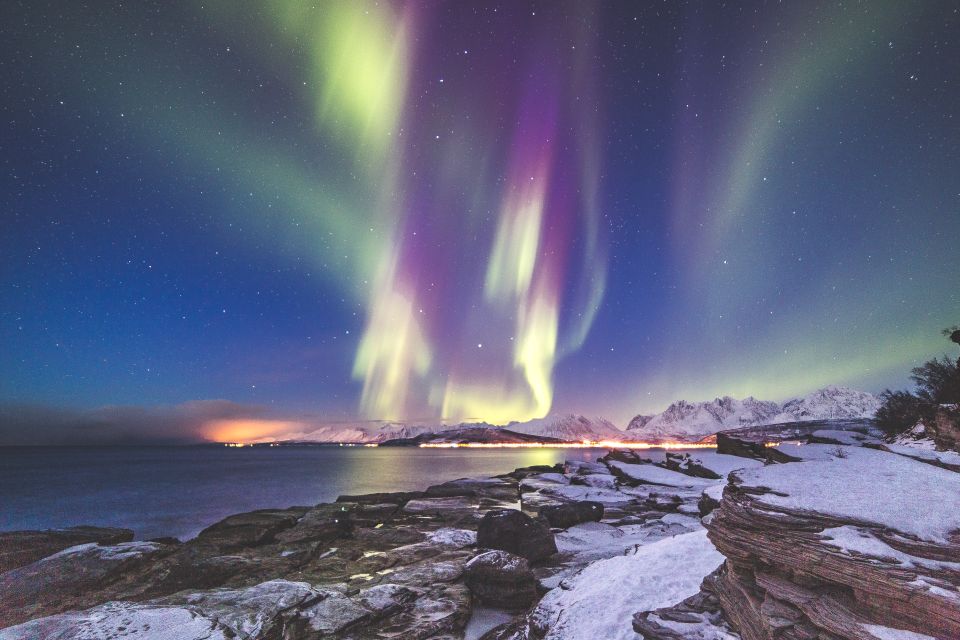 Tromso: Northern Lights Tour With Photographer - Tour Logistics