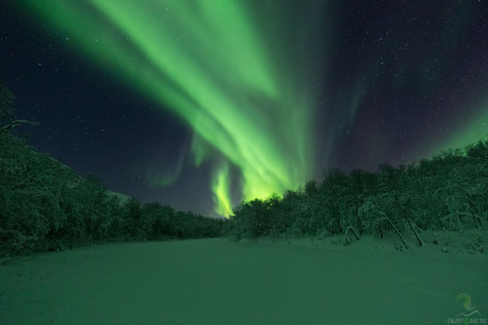 Tromsø: Northern Lights Trip With Campfire and Snacks - Important Information