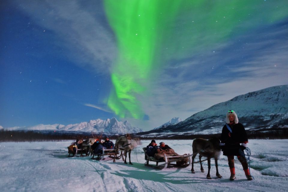 Tromso: Reindeer Sledding With Chance to See Northern Lights - Sledding Experience