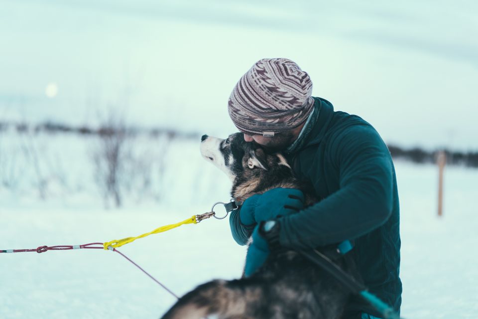 Tromsø: Self-Drive Husky Dog Sledding Adventure - Detailed Itinerary