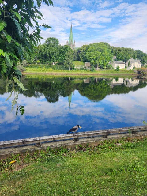 Trondheim(Cityguide Tour) - Exploring Bakklandet