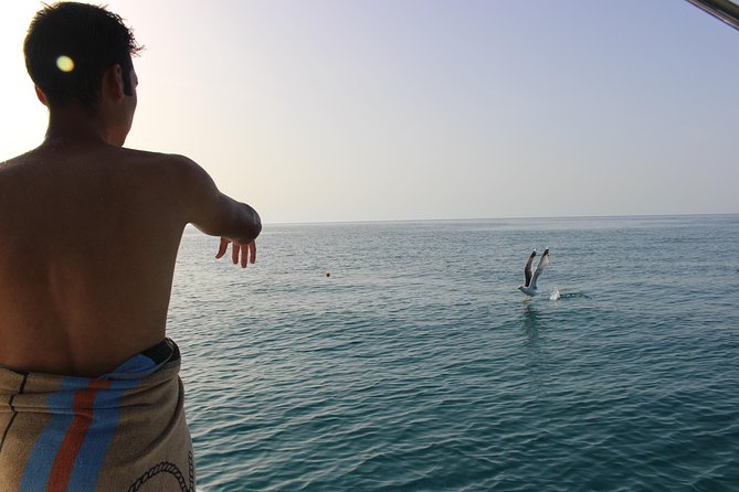 Tropea - Briatico - Zambrone - The Best Boat Excursion